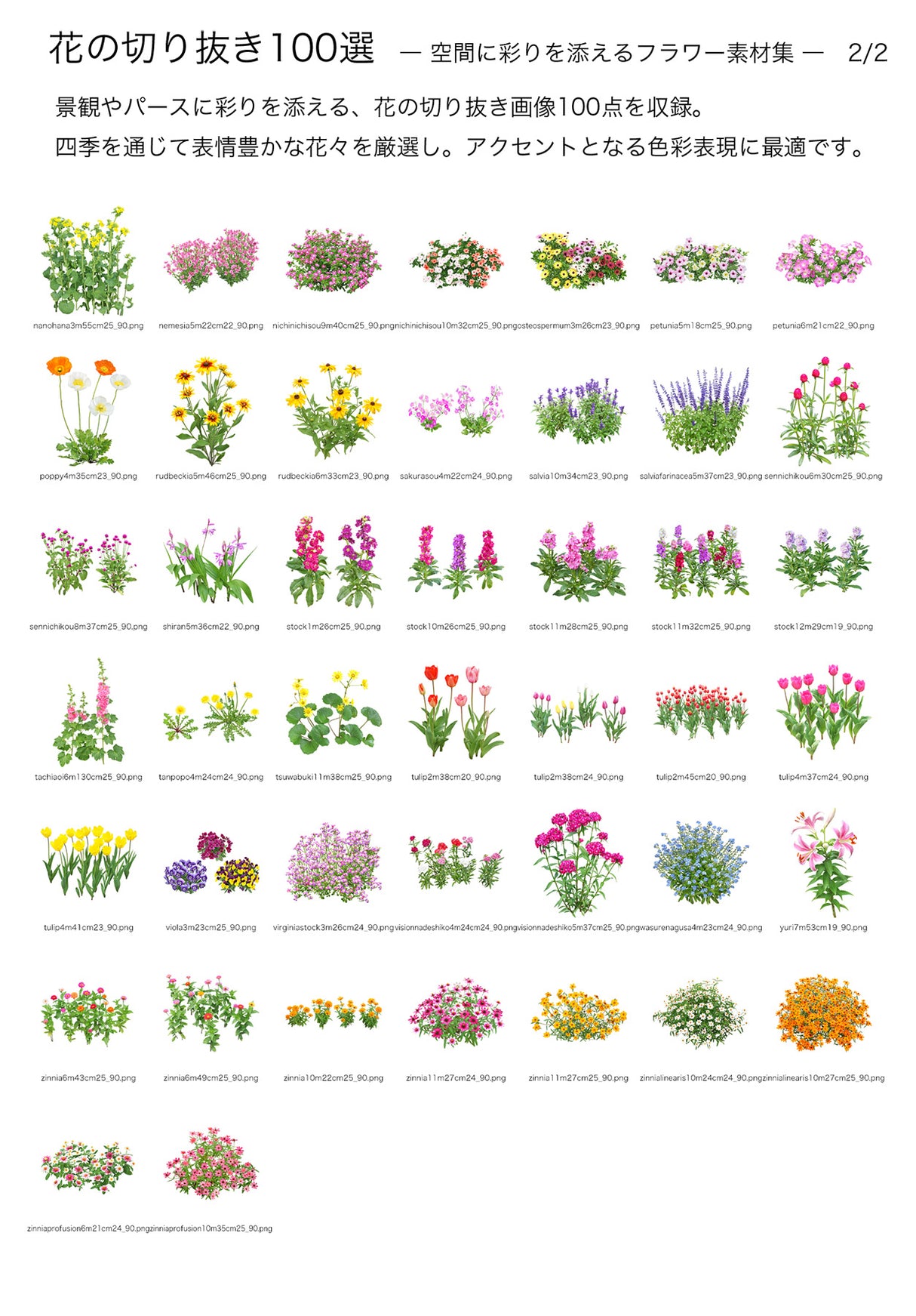 【BEST素材】花の切り抜き100選―空間に彩りを添えるフラワー素材集