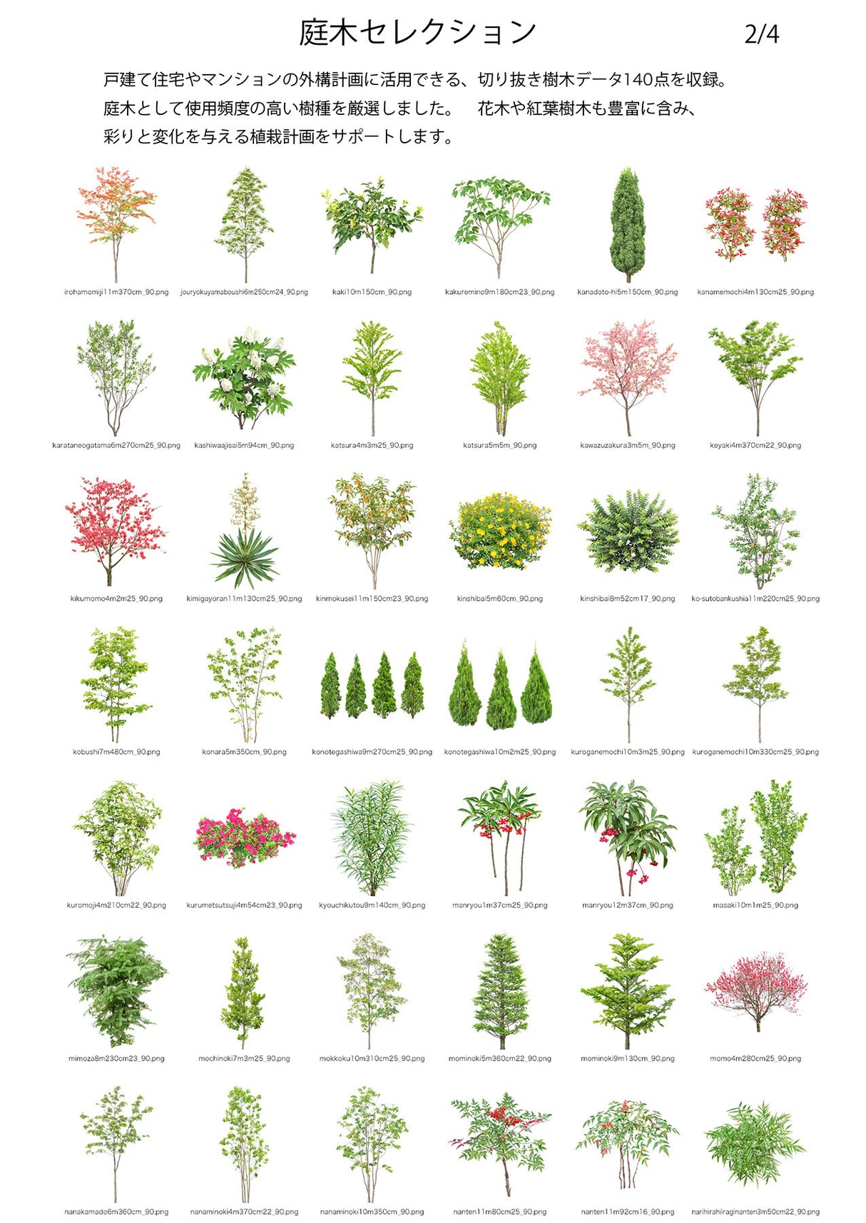 【BEST素材】庭木セレクション