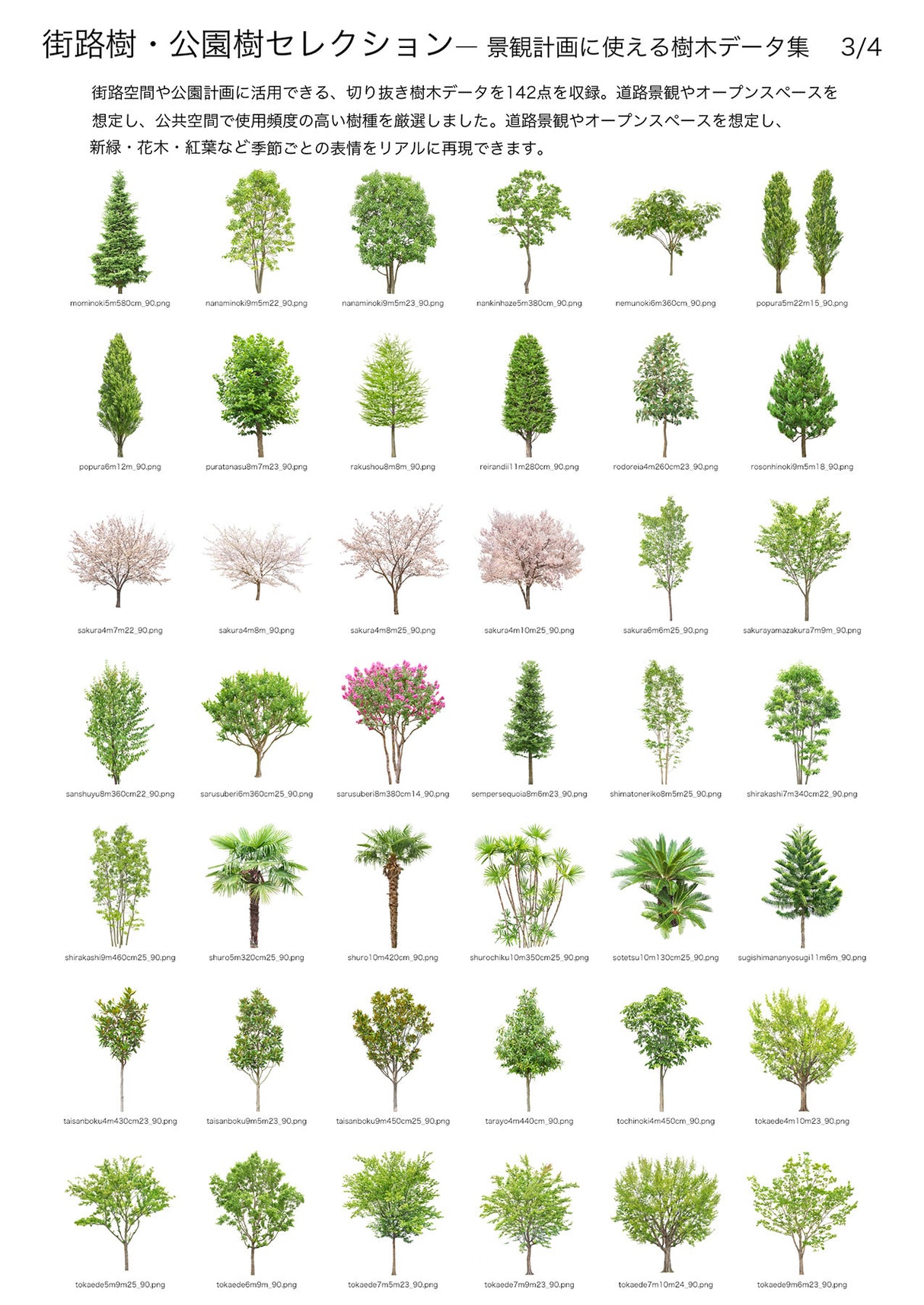 【BEST素材】街路樹・公園樹セレクション―景観計画に使える樹木データ集