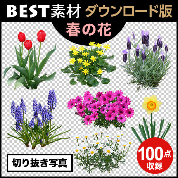 bestsozai0030