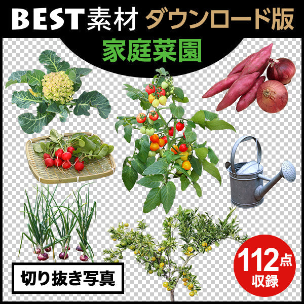 bestsozai0032