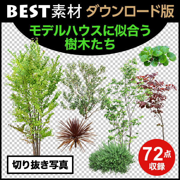 bestsozai0033
