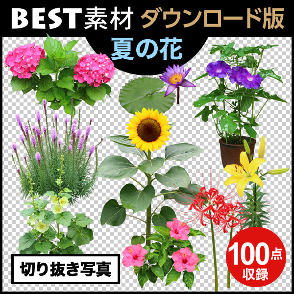 bestsozai0034