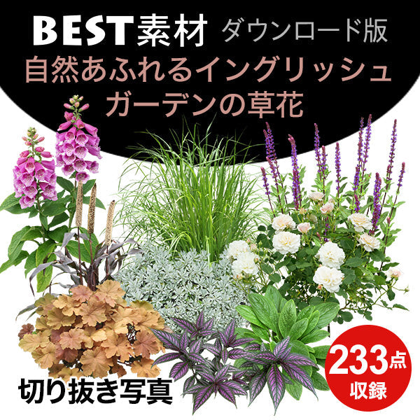 bestsozai0060