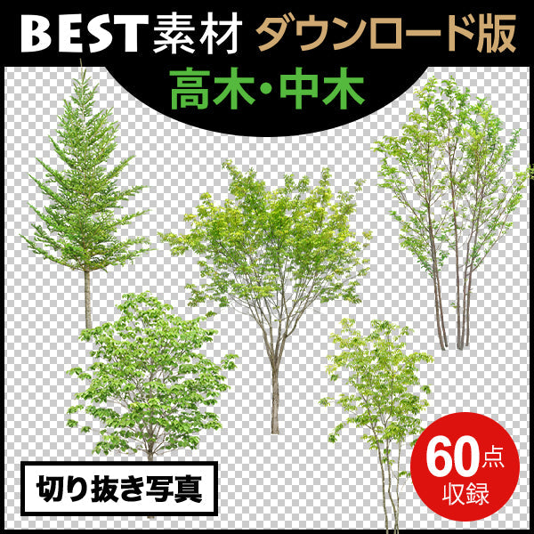 bestsozai0062