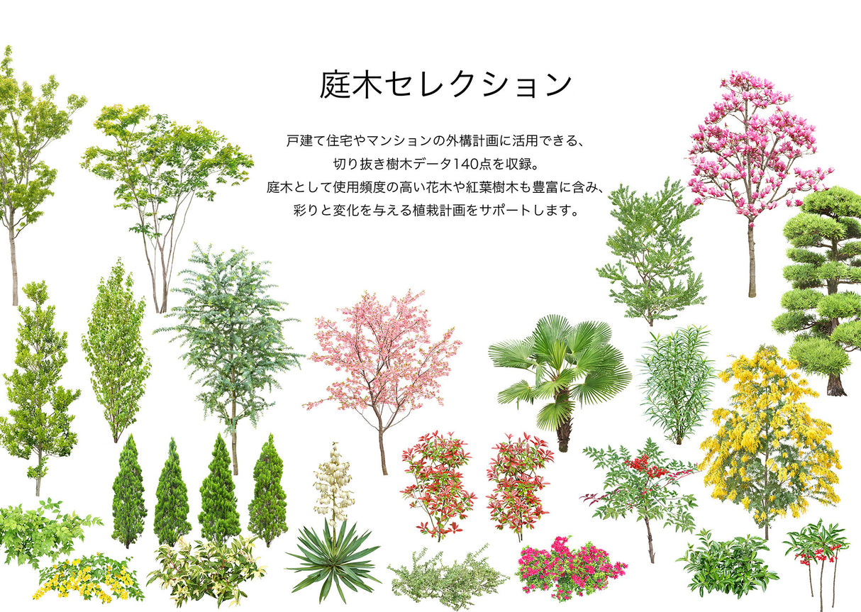 【BEST素材】庭木セレクション