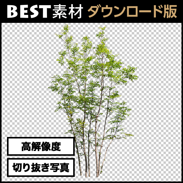 BEST素材