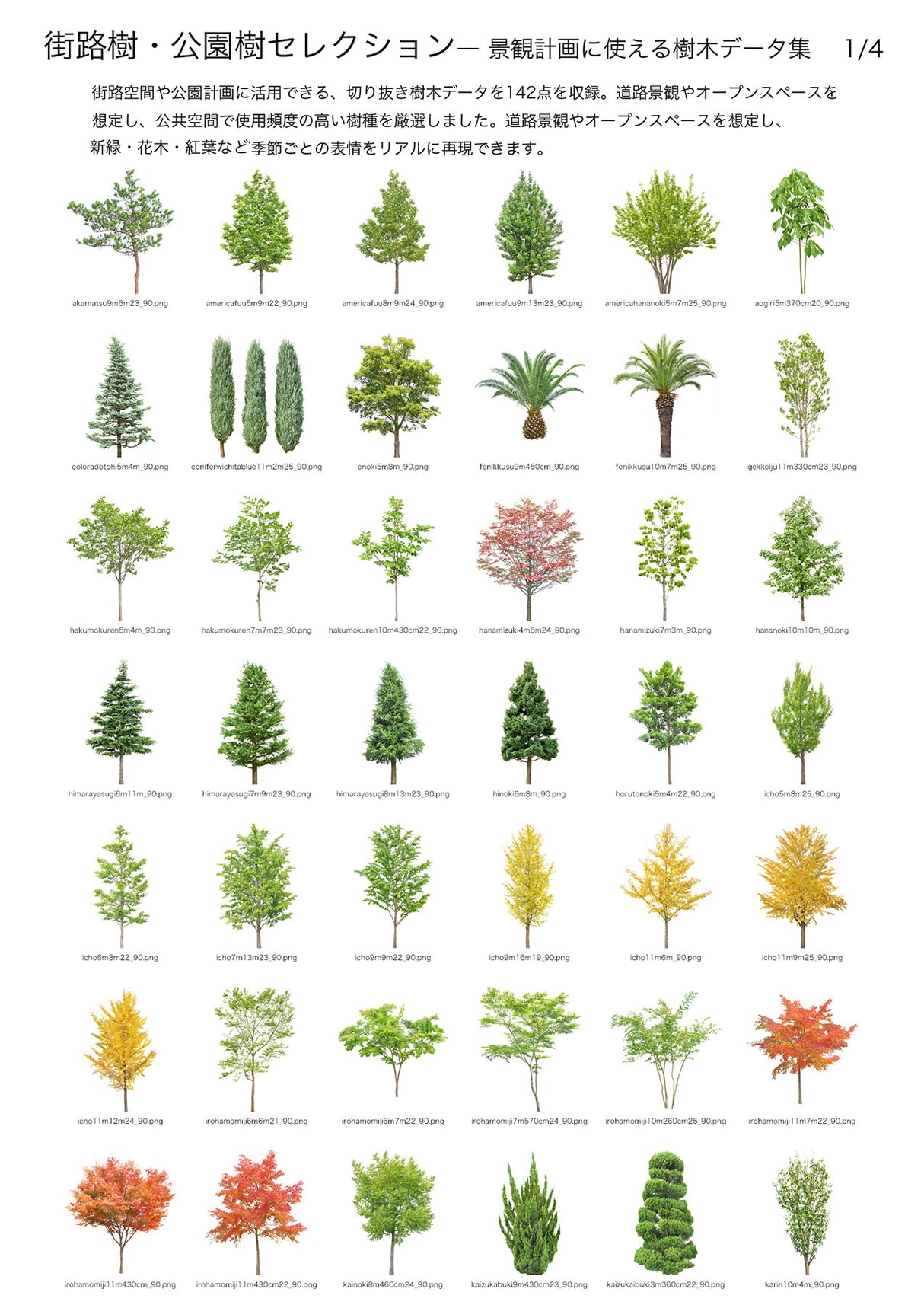 【BEST素材】街路樹・公園樹セレクション―景観計画に使える樹木データ集
