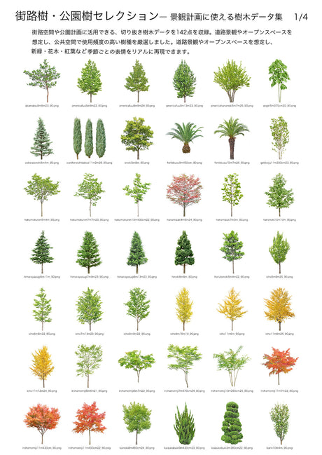 【BEST素材】街路樹・公園樹セレクション―景観計画に使える樹木データ集