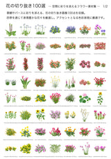 【BEST素材】花の切り抜き100選―空間に彩りを添えるフラワー素材集