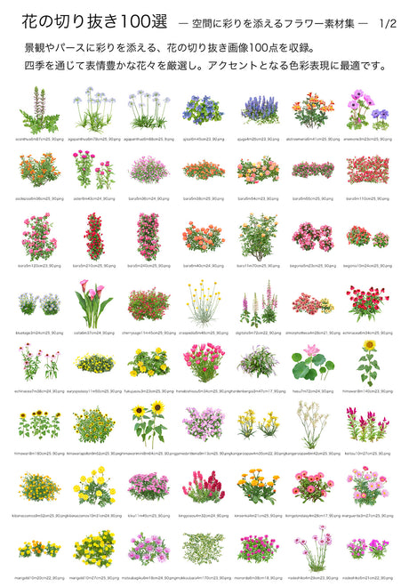 【BEST素材】花の切り抜き100選―空間に彩りを添えるフラワー素材集