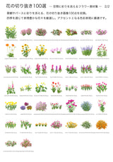 【BEST素材】花の切り抜き100選―空間に彩りを添えるフラワー素材集