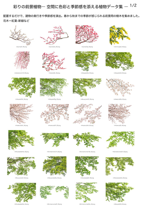 【BEST素材】彩りの前景植物―空間に色彩と季節感を添える植物データ