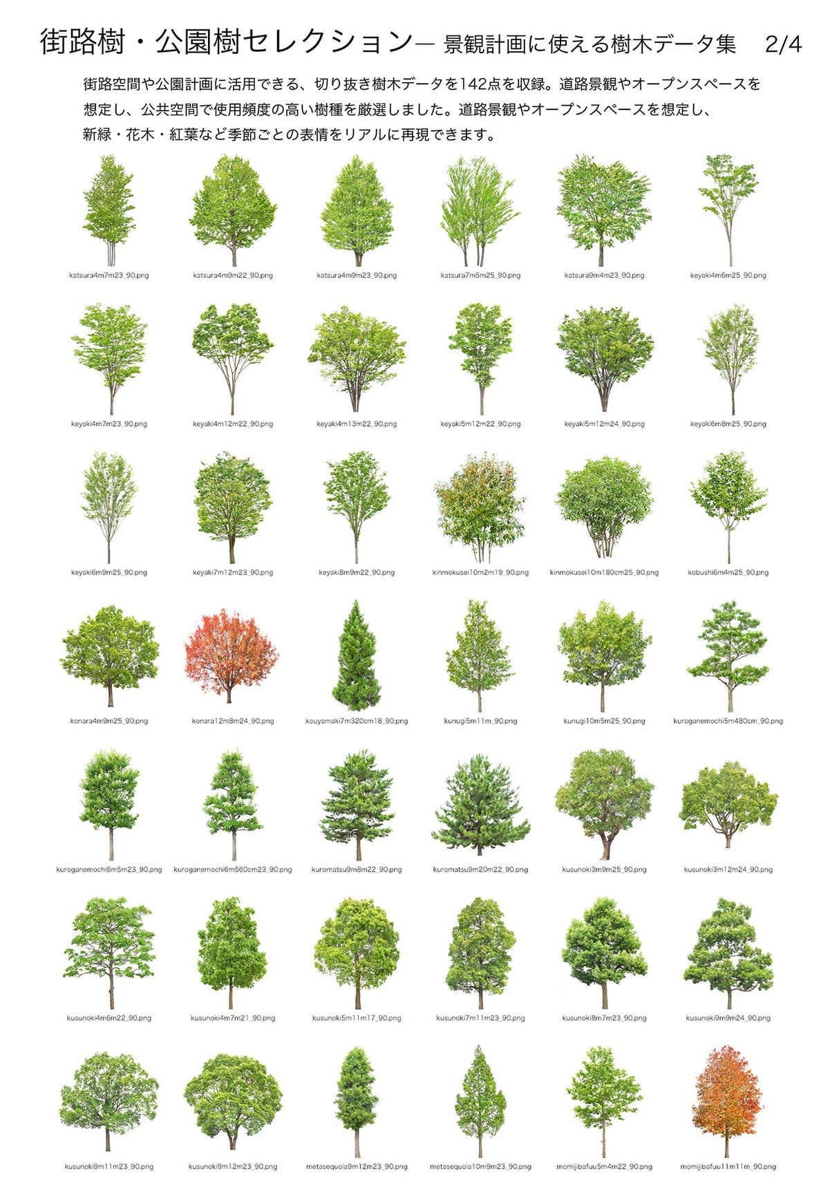 【BEST素材】街路樹・公園樹セレクション―景観計画に使える樹木データ集