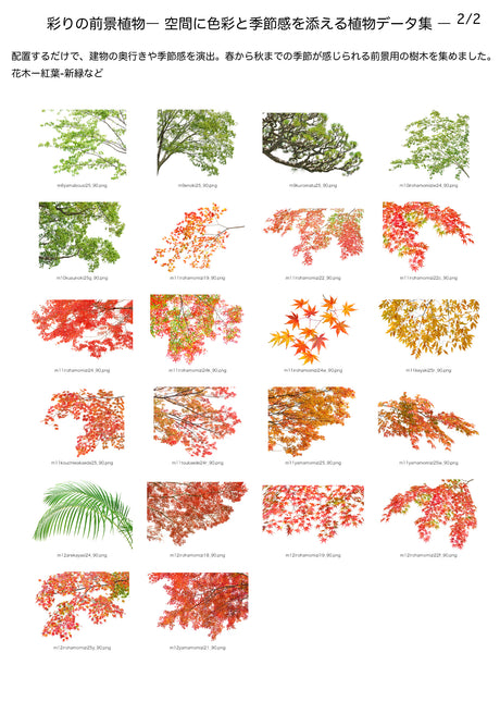 【BEST素材】彩りの前景植物―空間に色彩と季節感を添える植物データ