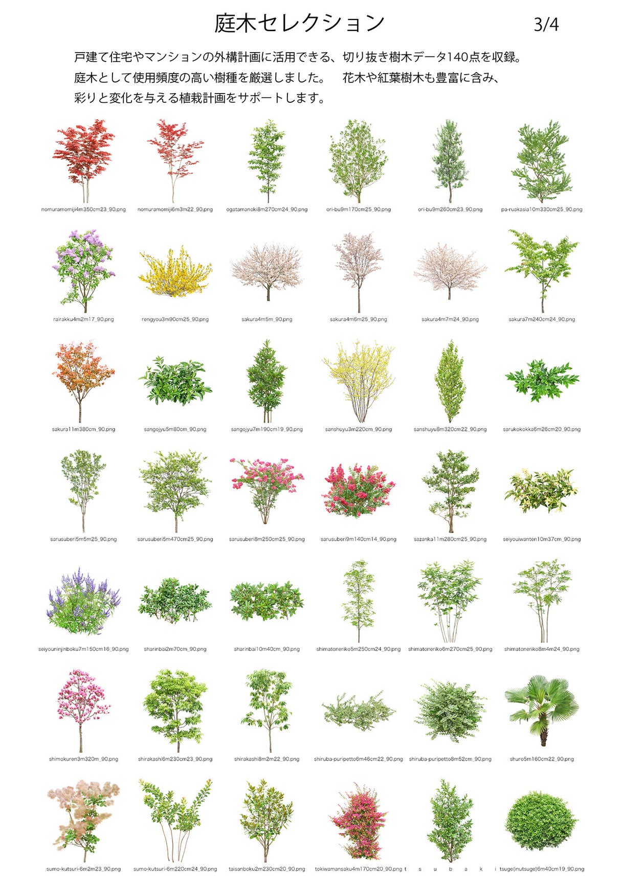 【BEST素材】庭木セレクション