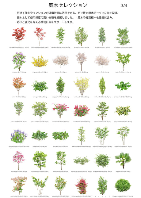 【BEST素材】庭木セレクション