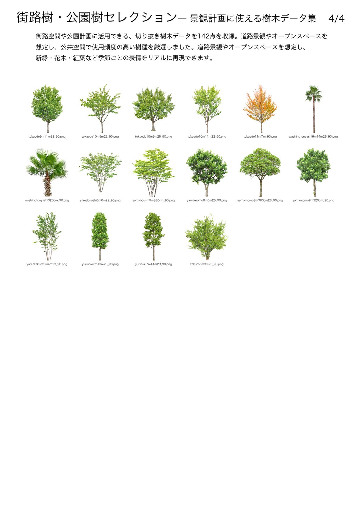 【BEST素材】街路樹・公園樹セレクション―景観計画に使える樹木データ集