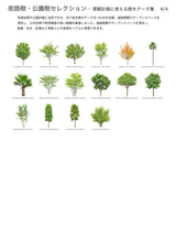 【BEST素材】街路樹・公園樹セレクション―景観計画に使える樹木データ集