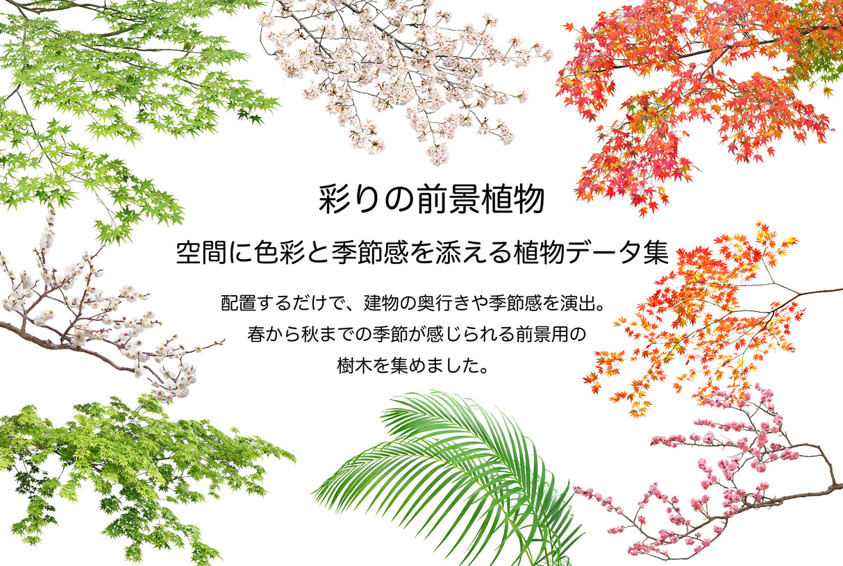 【BEST素材】彩りの前景植物―空間に色彩と季節感を添える植物データ
