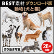 bestsozai0031