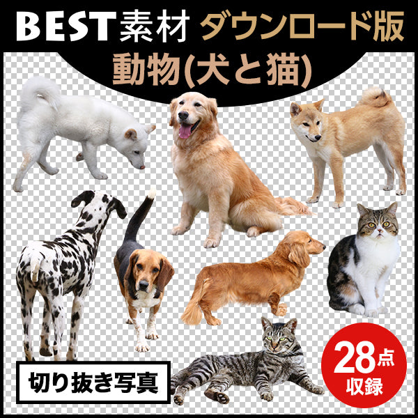 bestsozai0031