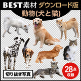 bestsozai0031