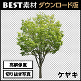 bestsozai0008