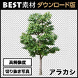 bestsozai0004