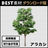 bestsozai0004