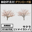 bestsozai0009