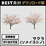 bestsozai0009