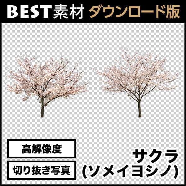 bestsozai0009