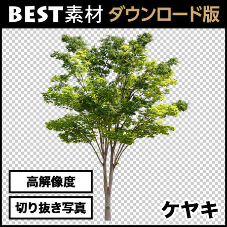 bestsozai0007
