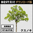bestsozai0002