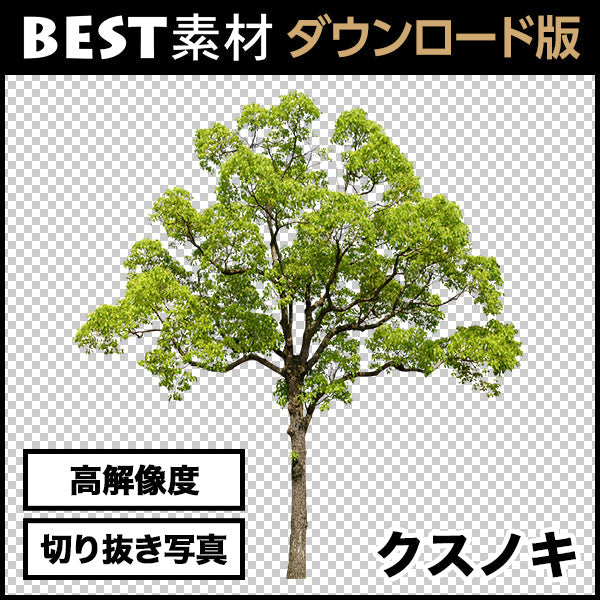 bestsozai0002