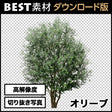 bestsozai0005