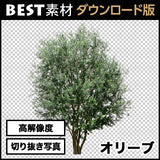 bestsozai0005
