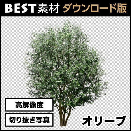 bestsozai0005