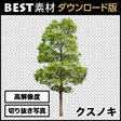 bestsozai0003