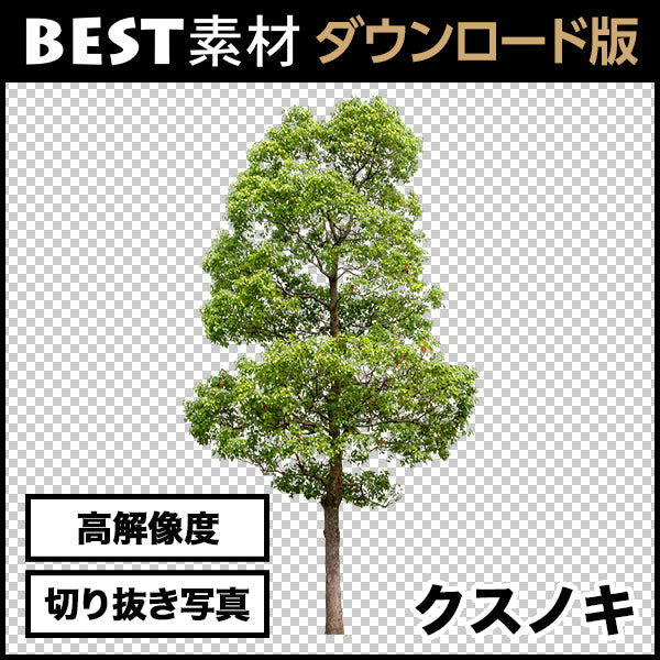 bestsozai0003