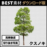 bestsozai0003