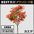 bestsozai0006
