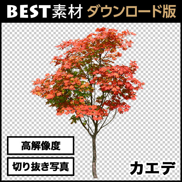 bestsozai0006