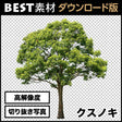 bestsozai0001