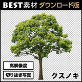 bestsozai0001