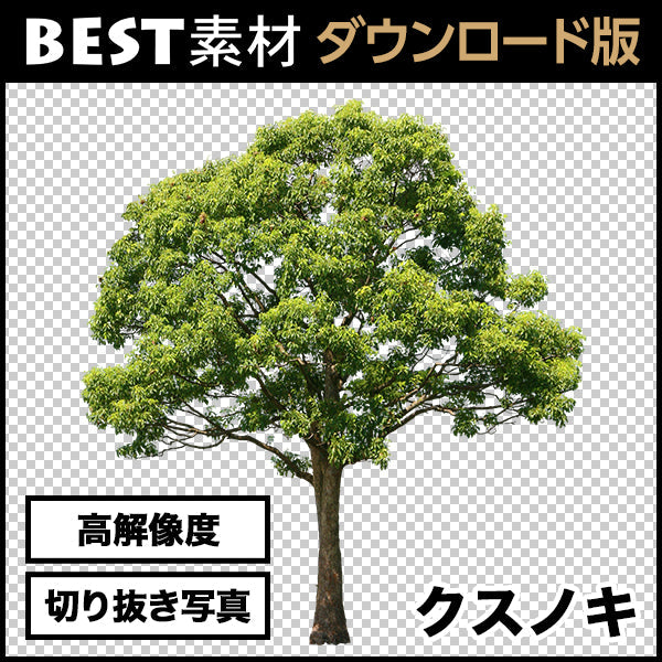 bestsozai0001