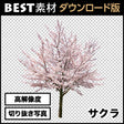 bestsozai0010