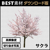 bestsozai0010