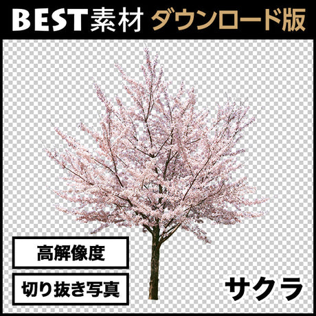 bestsozai0010